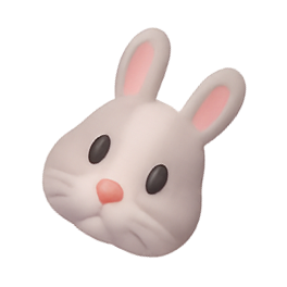 rabbit