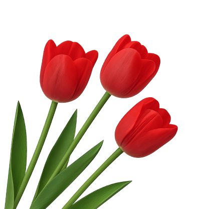 tulip